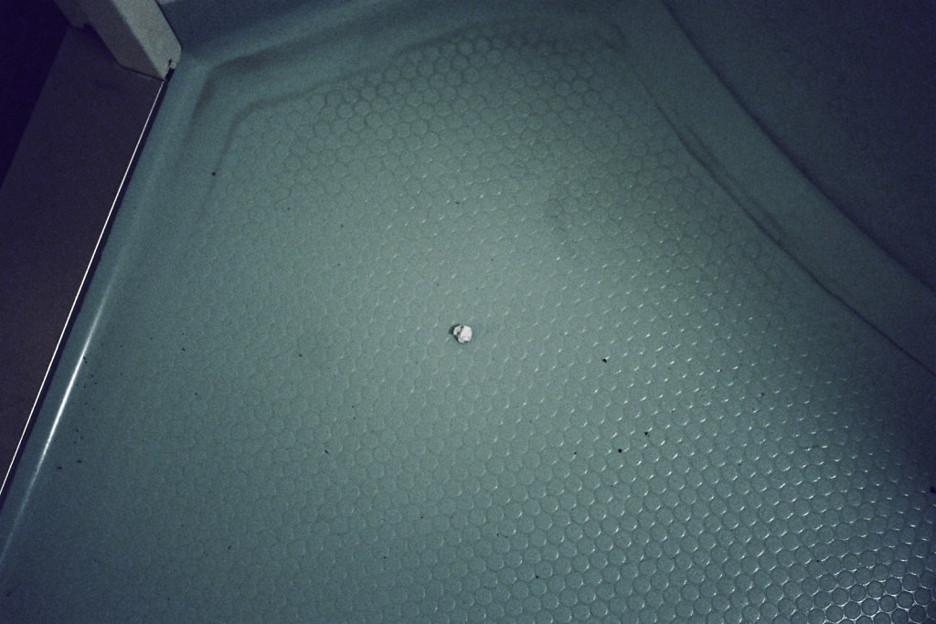 SteAnne-56.jpg